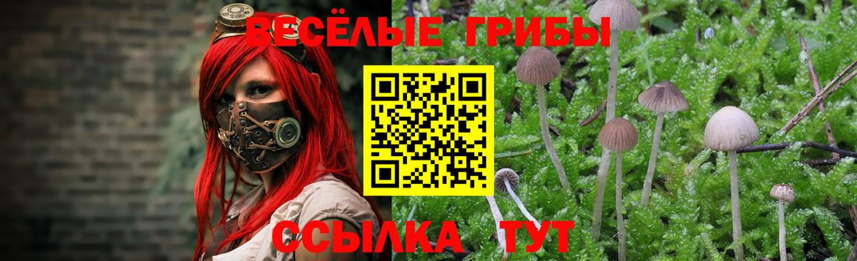 Псилоцибиновые грибы прущие грибы  Вход с VPN  Печора  Псилоцибиновые грибы Cubensis 